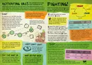 A colorful and chaotic game guide for "SPACE GITS," featuring playful illustrations and humorous text. The left side outlines the rules for activating orcs, including actions like "scoot," "loot," and "put the boot in," with dice mechanics illustrated. The right side details combat mechanics, using terms like "thump," "pinch," and "shove," along with visual representations of dice rolls and weapon stats, all set against a vibrant background that captures the game's irreverent tone.