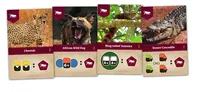 Two animal cards: left shows an African Wild Dog with mouth open, barking. Right shows a Ring-tailed Vontsira perched on a branch. Each card has text: "African Wild Dog" and "Ring-tailed Vontsira," with icons and numbers 6+, 4+, 4+.