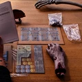 Image: setup