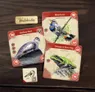 Three illustrated cards on a wooden surface. Top left: "Vertebrates" label. Harbour Seal card shows a grey seal with text "Phoca vitulina." Bluethroat card depicts a blue and brown bird perched, labeled "Bluethroat" and "Motacilla flava."