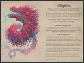 A page titled "Oilliphéist" with decorative floral and geometric patterns in pink and blue. Text reads: "Oilliphéist, son of Delora, is the sea itself given fixed shape. His skin resembles rock, his blood brine, his voice the howling wind.