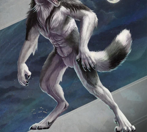 A black and white werewolf is snarling over his shoulder. He is a pretty and slender wolf, his pose is allerted and aggressive. 