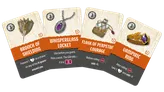 Three game cards are displayed, each featuring distinct illustrations and text. The first card, titled "Brooch of Shielding," depicts a decorative brooch and includes a description about granting a heart to a character within a specified range. The second card, "Whisperglass Locket," shows a locket and instructs players to pick a word, with the GM revealing its status. The third card, "Flask of Perpetual Courage," features a flask and provides a bonus to a roll, indicating to add +5 before rolling a D20. Each card has a unique design and color scheme, enhancing the thematic elements of the game.
