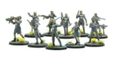 The image features a group of ten intricately detailed, 32mm-scale miniatures from the Fallout: Factions starter set. Each figure is posed dynamically, showcasing a variety of weapons and attire that reflect a post-apocalyptic aesthetic, with muted colors and weathered textures. The miniatures stand on circular bases adorned with tufts of green grass, enhancing the scene's rugged, irradiated environment.