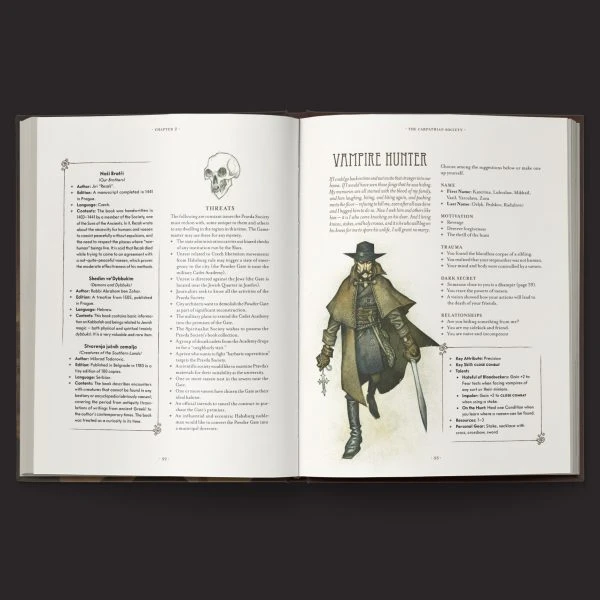 An open book displays two pages featuring a character profile for a 