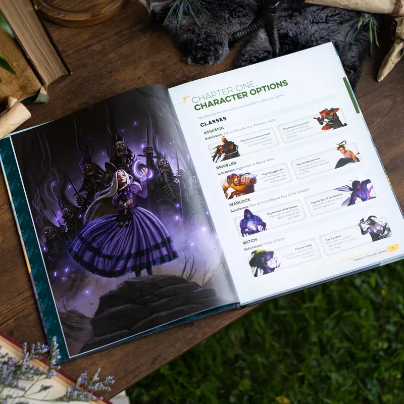 Open book on grass, left page shows purple-robed figure with glowing orb, right page has "CHAPTER ONE: CHARACTER OPTIONS" and class listings.