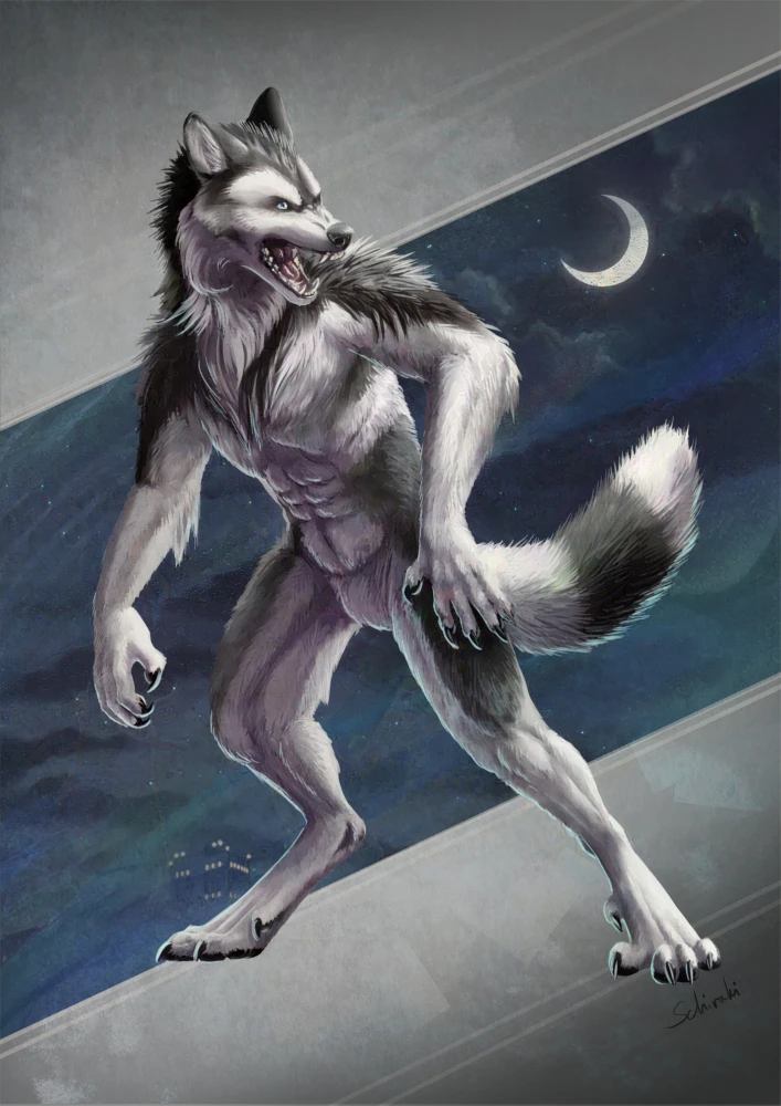 A black and white werewolf is snarling over his shoulder. He is a pretty and slender wolf, his pose is allerted and aggressive.