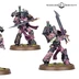 Three Emperor’s Children miniatures are displayed, showcasing their distinctive designs. Each figure features ornate armor in shades of purple and black, adorned with intricate details and symbols. The miniatures are posed dynamically, with one wielding a sword and another holding a weapon, all set on a textured base with grass and skull accents.