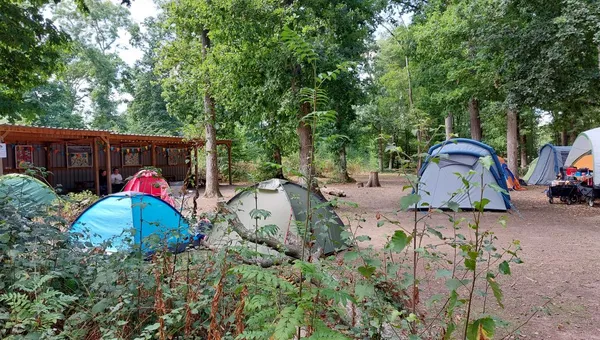 A campsite nestled among tall trees features several tents in various colors, including a blue tent and a grey one, set on a dirt ground. In the background, a wooden structure with colorful bunting is visible, suggesting a communal area for activities. Surrounding the tents, lush greenery and small plants add to the natural ambiance of the setting.
