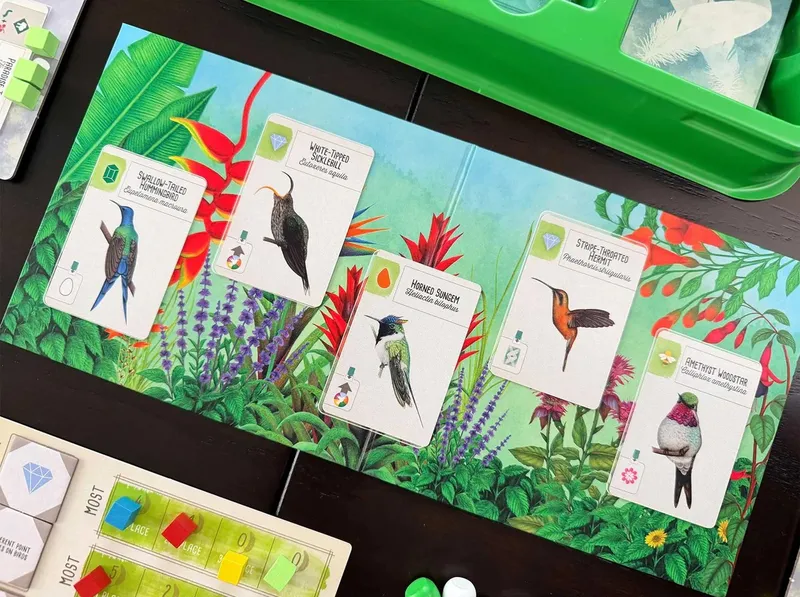 Five bird cards are displayed on a vibrant, tropical background featuring lush green foliage and colorful flowers. The cards showcase various hummingbirds: the Swallow-tailed Hummingbird, White-tipped Sicklebill, Horned Sungem, Stripe-throated Hummingbird, and Amethyst-throated Hummingbird, each with detailed illustrations and information. Below the cards, a scoring board with colored cubes indicates player progress, while a green game tray is visible in the upper right corner.