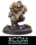 Image: xcom the miniatures game support