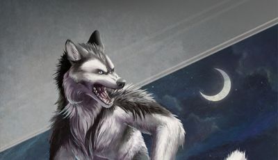 A black and white werewolf is snarling over his shoulder. He is a pretty and slender wolf, his pose is allerted and aggressive. 