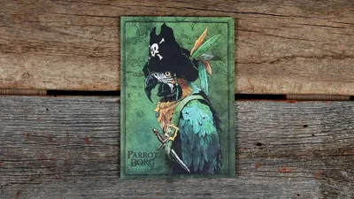 Illustrated parrot wearing a pirate hat with a skull and crossbones, holding a cutlass. Background shows a green map with faint island outlines. Text reads "Parrot Borg" and "A Scenarized Poa."