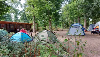 A campsite nestled among tall trees features several tents in various colors, including a blue tent and a grey one, set on a dirt ground. In the background, a wooden structure with colorful bunting is visible, suggesting a communal area for activities. Surrounding the tents, lush greenery and small plants add to the natural ambiance of the setting.