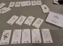 A tabletop game setup featuring a collection of beautifully illustrated cards from the game "Florilegium." The cards display various botanical illustrations, including flowers and plants, with delicate details and soft colors. Some cards are arranged in a grid pattern, while others are stacked, alongside a box labeled "Florilegium," all set on a neutral-colored table.