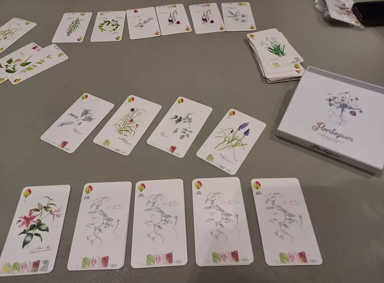 A tabletop game setup featuring a collection of beautifully illustrated cards from the game 
