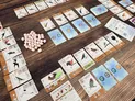 A wooden surface with a spread of cards from the Wingspan Pocket game. The cards display illustrations of various birds, eggs, food tokens, and nest images. Some cards have visible text such as "Starting Player: Activate Bird Powers", "Lay 1 Egg", "Gain 1 Food", and "Tuck 1 Card". There are also small, round food tokens in shades of green, orange, and white, and a pile of small, pink egg miniatures. The cards are arranged in a grid-like pattern, with some overlapping.