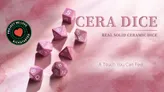 Eight pink polyhedral dice scattered on a light pink textured surface. One die shows a "5," another a "4," and others display numbers 1 through 12. A green circular badge with white text reads "PROJECT WE LOVE" and "KICKSTARTER," featuring a red heart.