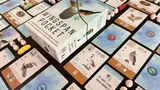 A box labeled "Wingspan Pocket" with illustrations of birds and a nest on a branch. Surrounding the box are game cards featuring bird illustrations, eggs, and buttons. Some cards have visible text such as "AT LEAST 1 CARD TUCKED BEHIND IT", "STARTING HERE, ACTIVATE", and "PLAY A BIRD".