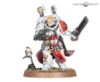 Miniature of a space marine in white and red armor holding a chainsword and gun, with a servitor and skull.