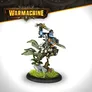 A trollkin warrior from the Southern Kriels Kithguard stands in a dynamic pose, brandishing a sword with a determined expression. He wears a mix of armor and tactical gear, featuring a green plaid cape and various pouches. The base is adorned with grass and a rock, emphasizing the character's connection to the jungle environment. The Warmachine logo is displayed prominently at the top of the image.