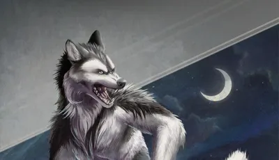 A black and white werewolf is snarling over his shoulder. He is a pretty and slender wolf, his pose is allerted and aggressive. 