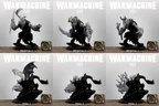 A collection of six 3D models from the Warmachine series is displayed in a grid format. The top row features three Primeval models, each showcasing unique designs with intricate details, including armor and weaponry. The bottom row presents three Feral models, characterized by their beastly forms and dynamic poses, with some featuring wings and distinctive facial features, all set against a simple background.