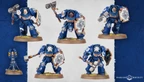Five Space Marine Assault Terminators are displayed, each wearing iconic blue power armor and equipped with various weapons, including thunder hammers and storm shields. The miniatures feature detailed designs, with some having unique head options and tilting plates adorned with purity seals and badges. The background is a subtle gradient, enhancing the focus on the intricately crafted models.