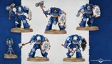 Five Space Marine Assault Terminators are displayed, each wearing iconic blue power armor and equipped with various weapons, including thunder hammers and storm shields. The miniatures feature detailed designs, with some having unique head options and tilting plates adorned with purity seals and badges. The background is a subtle gradient, enhancing the focus on the intricately crafted models.