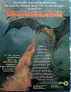 Dragonslayer title, dragon breathing fire, dark sky