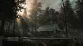 A dense forest with tall trees and sunlight filtering through. A dirt road leads to a rustic wooden cabin. An old pickup truck is parked near the cabin. A "Private Property, No Trespassing" sign is visible on the left.