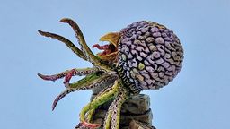 A detailed miniature of a creature resembling a large, bulbous head with a textured surface, featuring vibrant colors like purple and green. It has multiple long, tentacle-like appendages extending from its base, which is perched atop a pile of irregularly shaped stone blocks. The base is circular and textured, resembling a rocky terrain, enhancing the overall fantasy aesthetic of the piece.