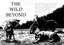 Black-and-white illustration: a large wild boar standing in grassy field, facing left. A person on a motorcycle with a sidecar, riding toward the boar. Text at top reads: "THE WILD BEYOND."