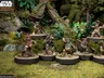 A group of four Ewok miniatures from the Star Wars: Legion game is displayed on circular bases, set against a lush, green forest backdrop. Each Ewok is uniquely posed: one holds a spear, another brandishes a slingshot, while the others are equipped with various weapons and accessories. The terrain features rocks, foliage, and remnants of a crashed vehicle, enhancing the scene's immersive quality.
