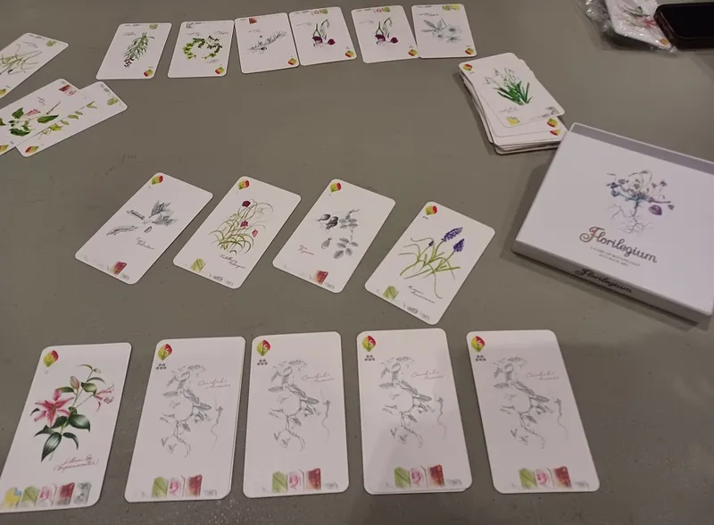 A tabletop game setup featuring a collection of beautifully illustrated cards from the game "Florilegium." The cards display various botanical illustrations, including flowers and plants, with delicate details and soft colors. Some cards are arranged in a grid pattern, while others are stacked, alongside a box labeled "Florilegium," all set on a neutral-colored table.