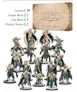 16 fantasy High Elf miniatures, Amber Crown box in background.