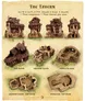 Miniature stone tavern terrain set labeled "The Tavern," showing four views: full structure, top floor, ground floor, and dungeon base. Dimensions: 14.1" H x 12.2" L x 9" W (36cm H x 31cm L x 23cm W). Text reads "Three components • Three internal play areas."