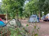 A serene outdoor camping scene featuring several tents nestled among tall trees at Bushy Wood Activity Centre. In the foreground, a blue tent and a green tent are visible, surrounded by low shrubs and greenery. In the background, a wooden structure with colorful bunting can be seen, adding to the inviting atmosphere of the campsite.