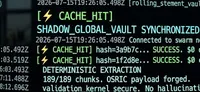 Terminal screen displaying green text on black background. Visible text includes: "CACHE_HIT] WINDOW_GLOBAL_VAULT_S" "hash=3a9b7c..." "hash=1f2d8e..." "DETERMINISTIC EXTRACTION" "0/189 chunks. OSRIC payl" "validation kernel secure."