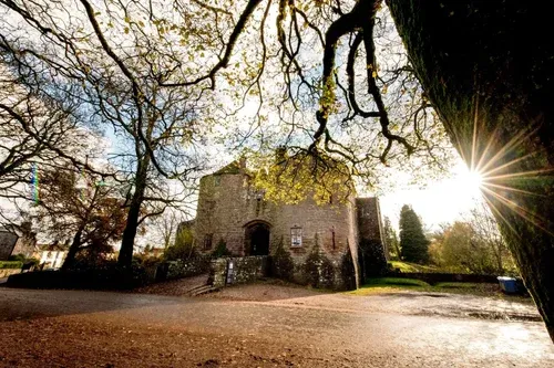 A medieval stone castle stands prominently in the scene, surrounded by trees with bare branches and a hint of autumn foliage. Sunlight filters through the branches, creating a warm glow that highlights the castle's rugged texture and the grassy area in front. The atmosphere is serene yet slightly mysterious, fitting for a magical and immersive tabletop role-playing experience.